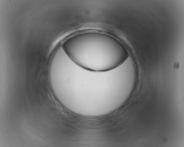 X0000113131312200909040923