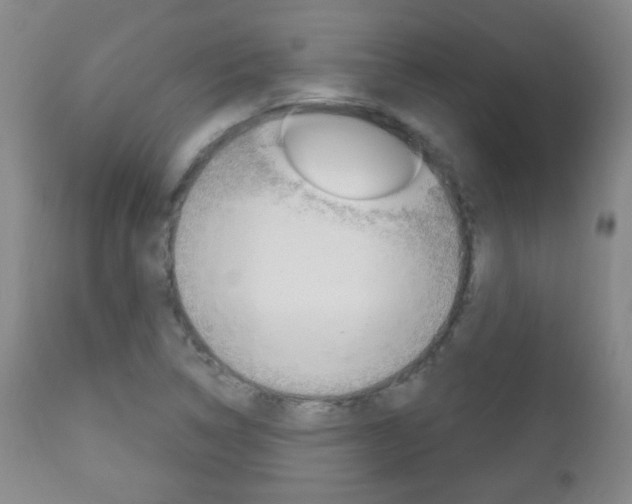X0000113131314200909040923