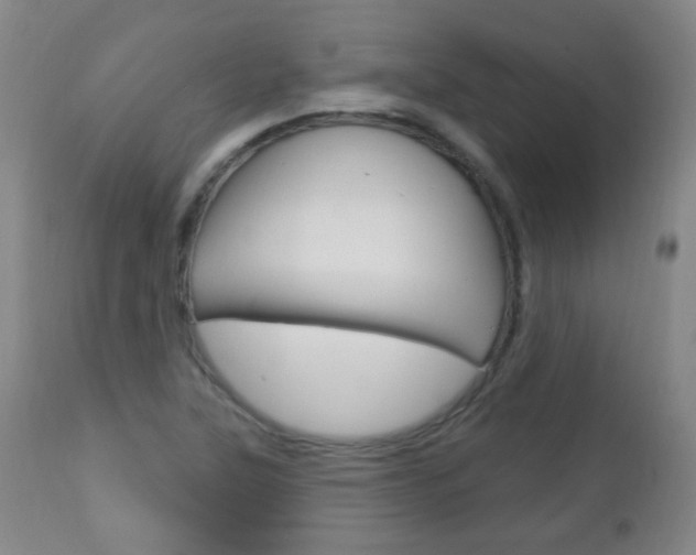 X0000113131315200909040923