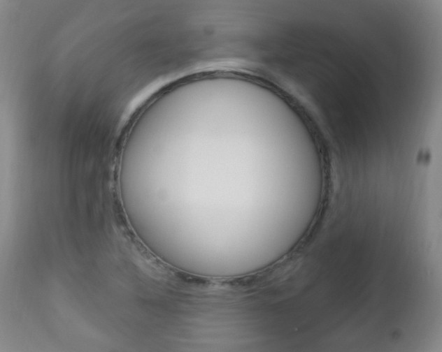 X0000113131316200909040923