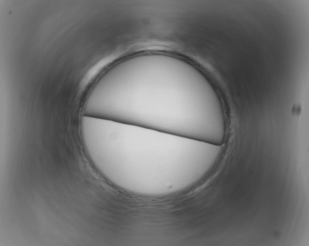 X0000113131317200909040923
