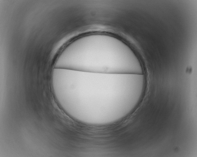 X0000113131318200909040923