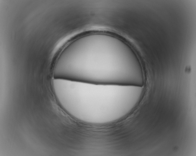 X0000113131319200909040923