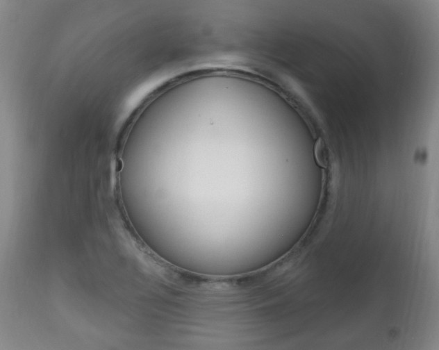 X0000113131320200909040923