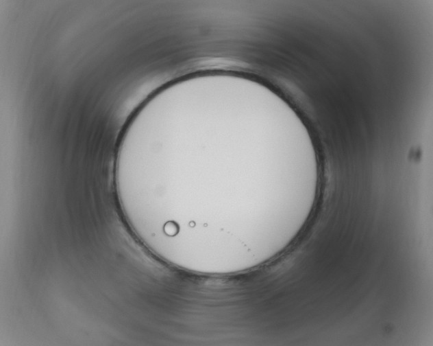 X0000113131322200909040923