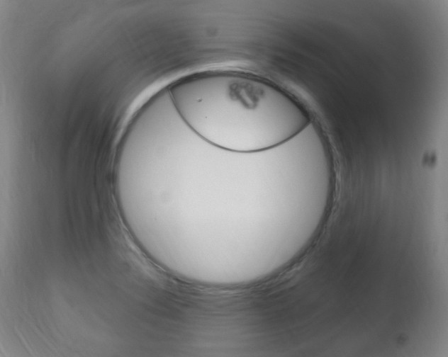X0000113131324200909040923