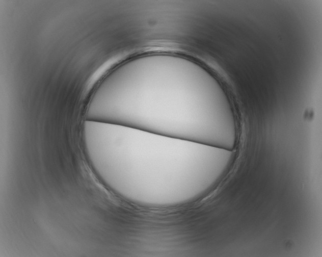 X0000113131325200909040923
