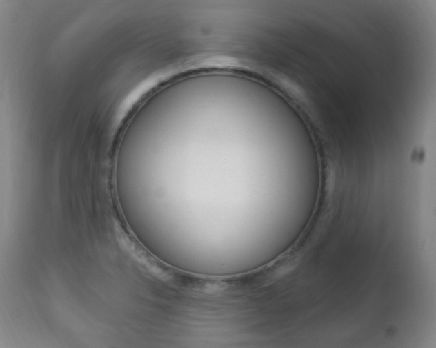 X0000113131326200909040923