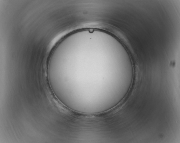 X0000113131328200909040923