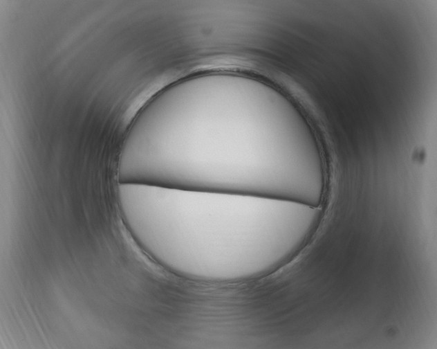 X0000113131329200909040923