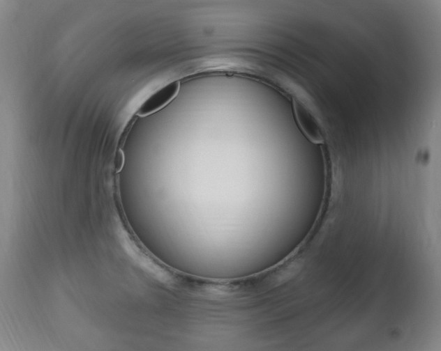 X0000113131330200909040923