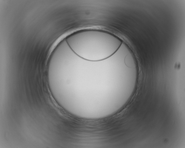X0000113131332200909040923