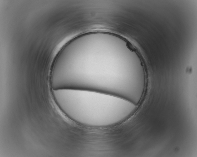 X0000113131333200909040923
