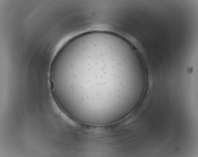 X0000113131334200909040923