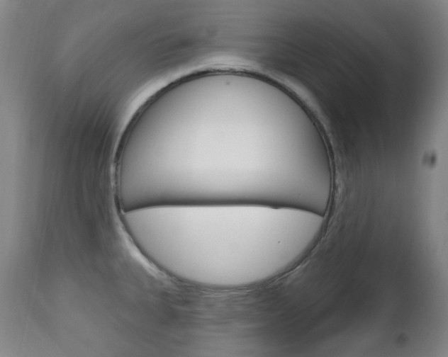 X0000113131335200909040924