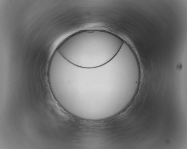 X0000113131336200909040924