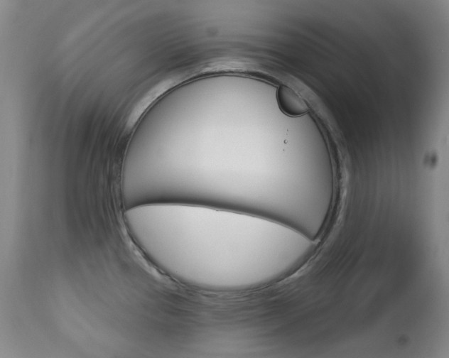 X0000113131337200909040924