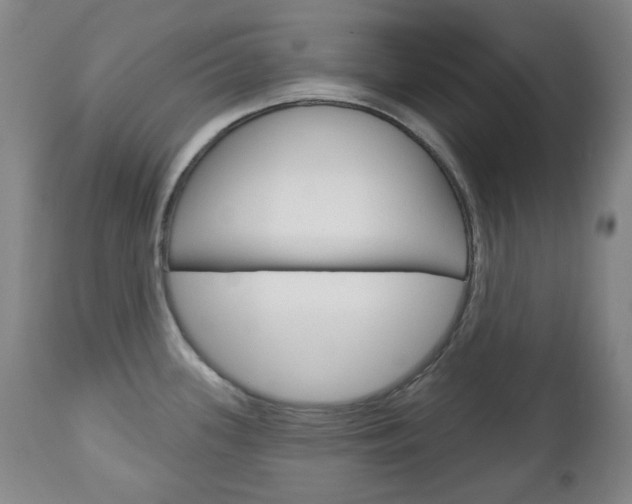 X0000113131339200909040924