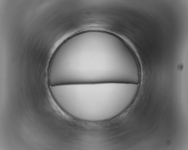 X0000113131341200909040924