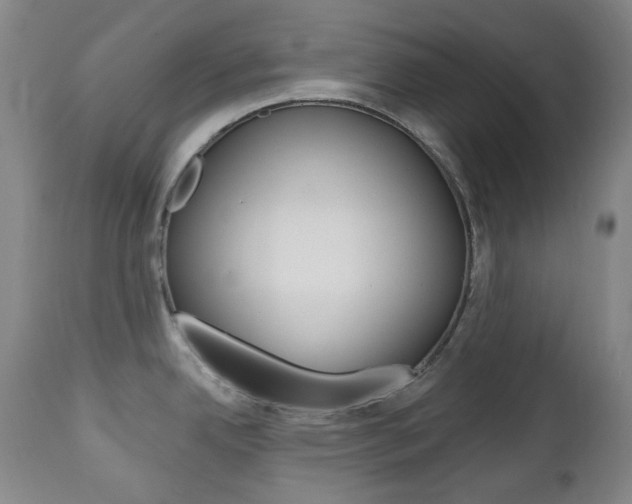 X0000113131342200909040924