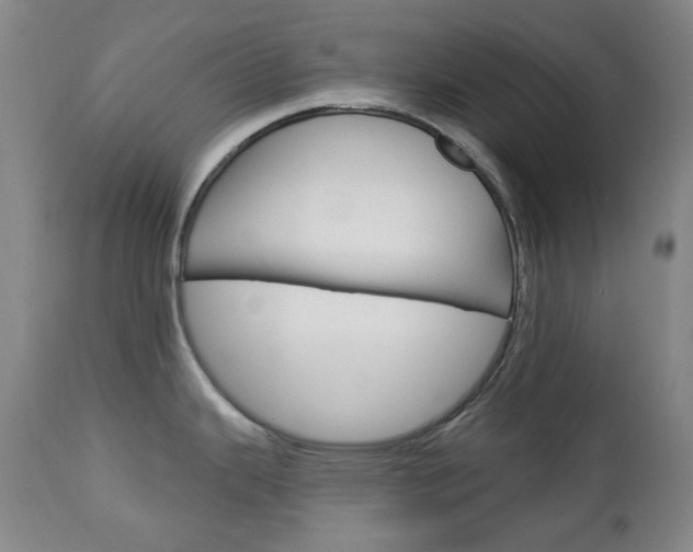 X0000113131343200909040924