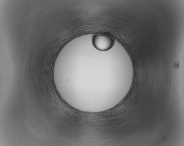 X0000113131345200909040923