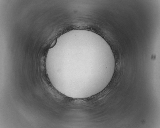 X0000113131346200909040923