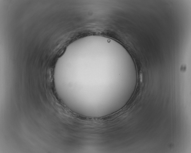 X0000113131347200909040923