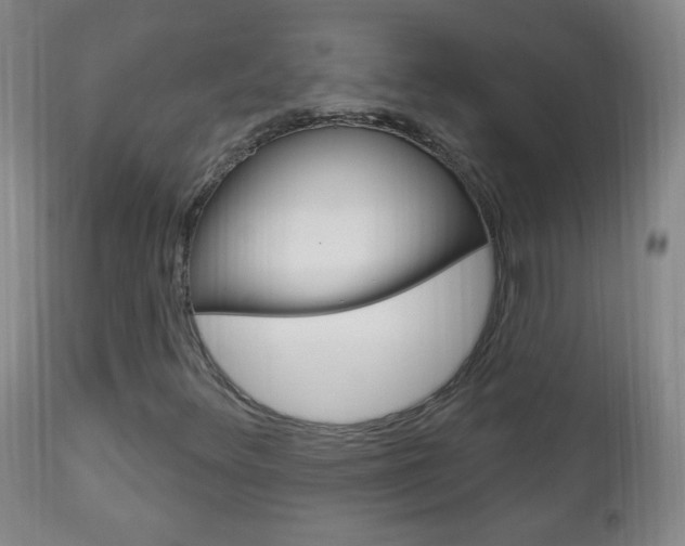 X0000113131348200909040923