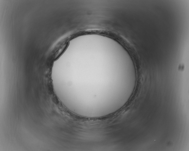 X0000113131351200909040923