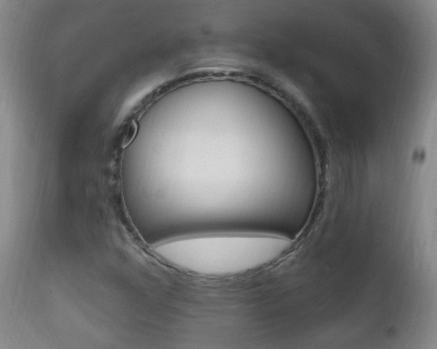 X0000113131352200909040923