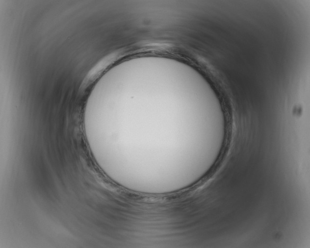 X0000113131354200909040923