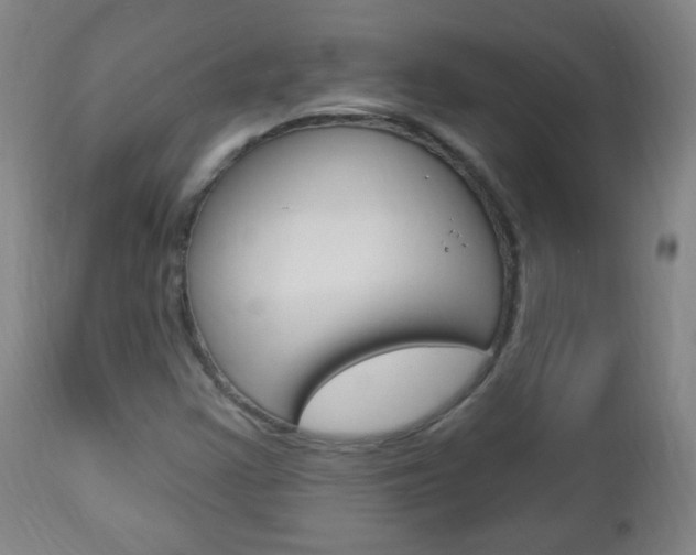 X0000113131355200909040923