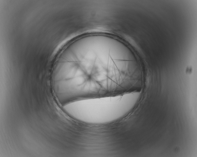 X0000113131356200909040923