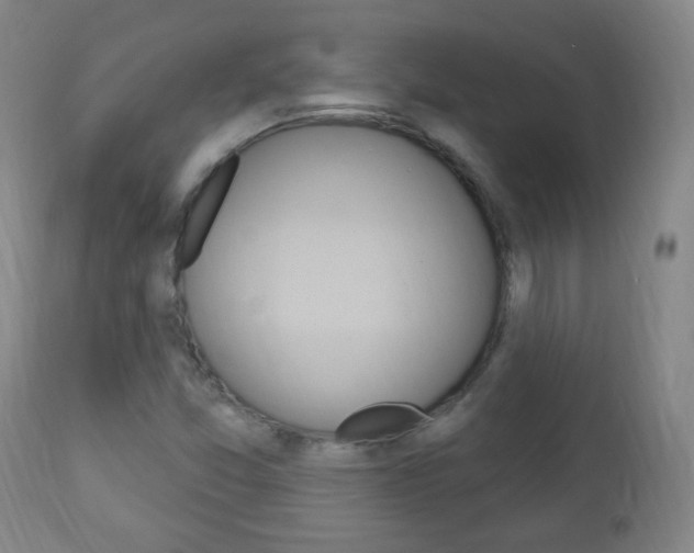 X0000113131357200909040923