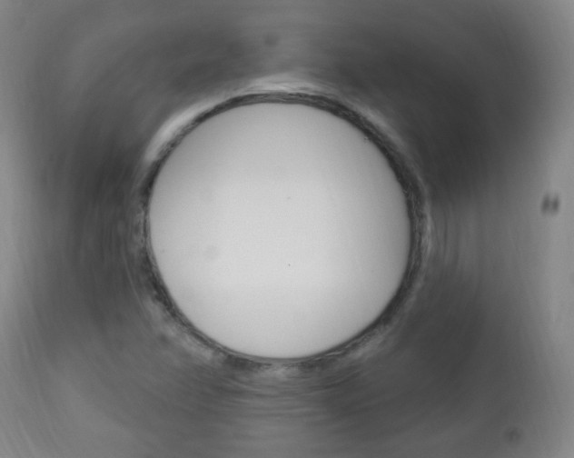 X0000113131358200909040923