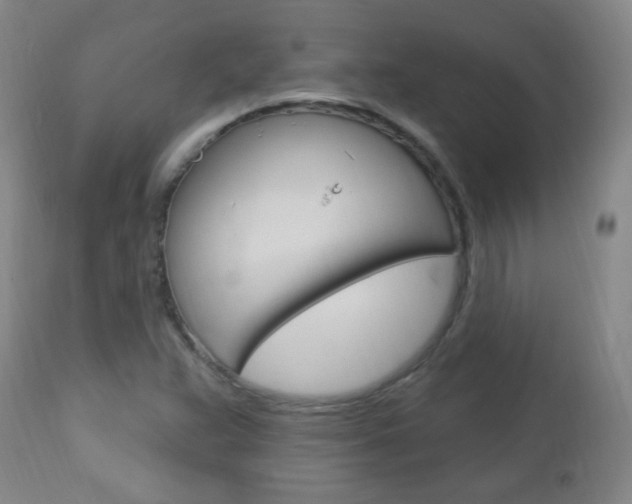 X0000113131359200909040923