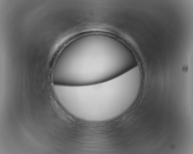 X0000113131360200909040923