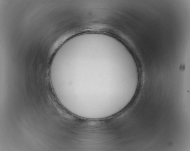 X0000113131362200909040923