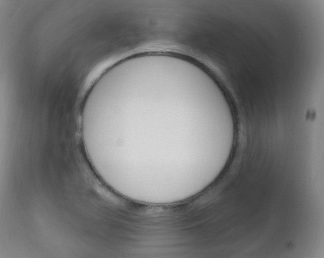 X0000113131366200909040923