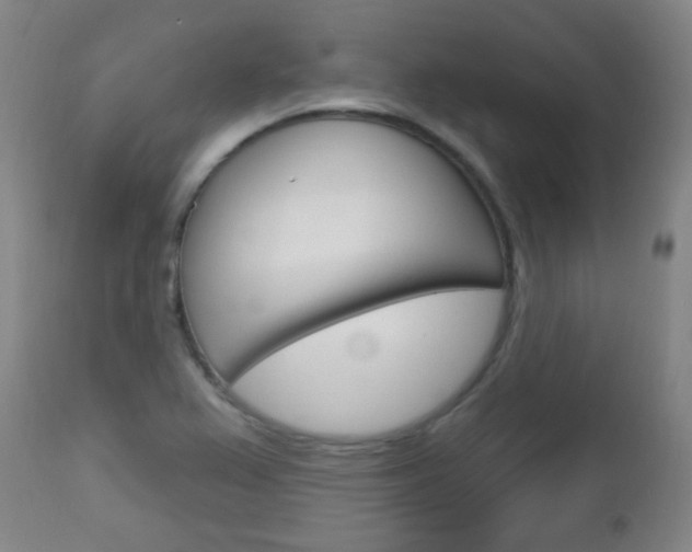 X0000113131367200909040922