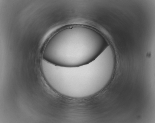 X0000113131368200909040922