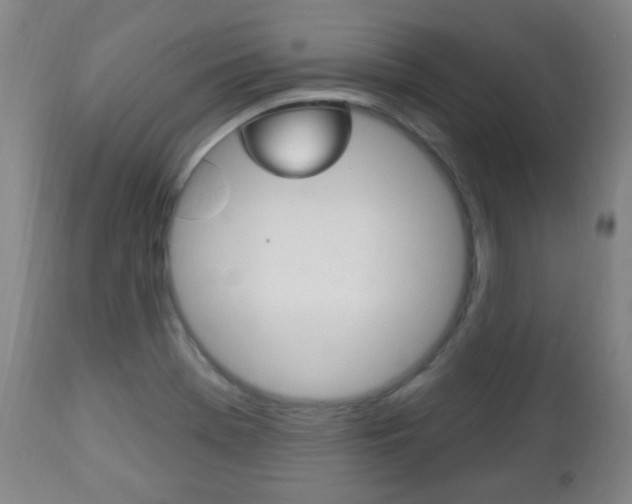 X0000113131369200909040922