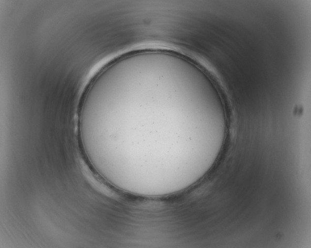X0000113131372200909040922