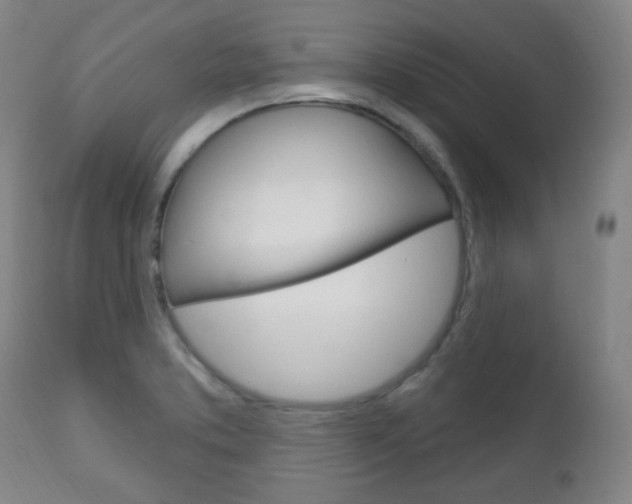 X0000113131373200909040922