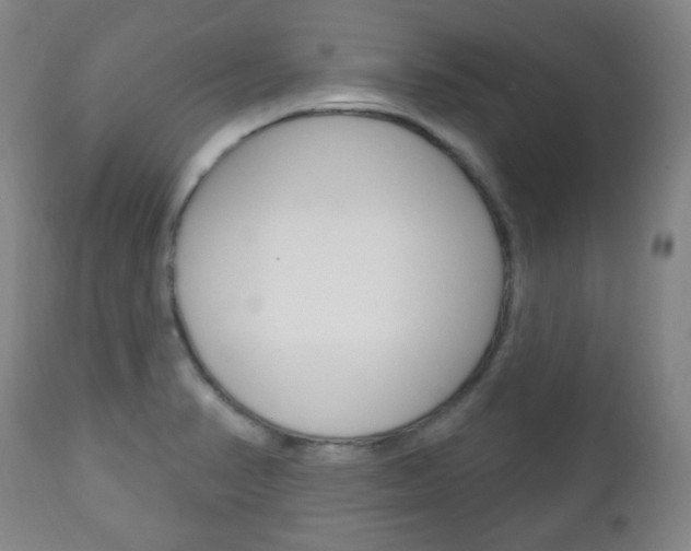 X0000113131374200909040922