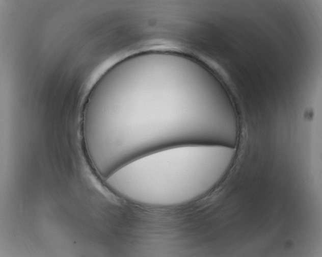 X0000113131375200909040922