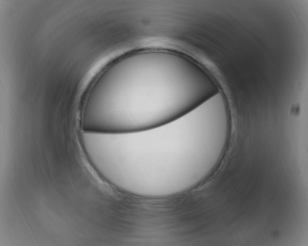 X0000113131376200909040922