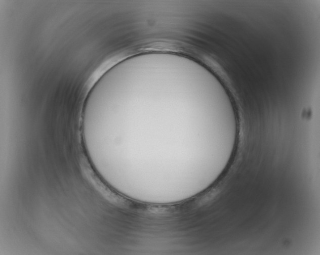 X0000113131378200909040922