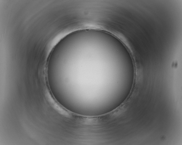 X0000113131381200909040922